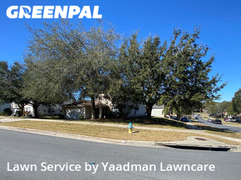Lawn Cutting nearby Clermont, FL, 