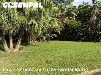 Lawn Cut nearby Melbourne Beach, FL, 