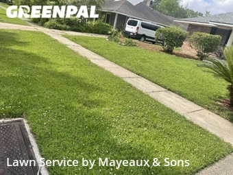 Lawn Care nearby Baton Rouge, LA, 
