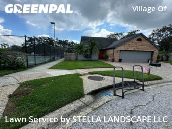 Lawn Cut nearby Palm Harbor, FL, 