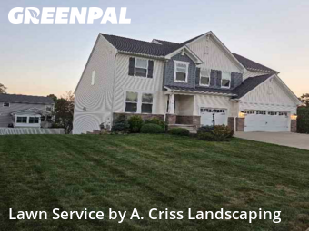 Yard Management in Wadsworth, 44281, Yard Care Services by A. Criss Landscaping, work completed in Dec , 2025