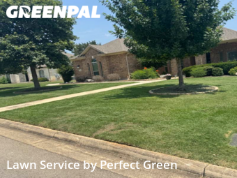 Yard Mowing nearby New Braunfels, TX, 