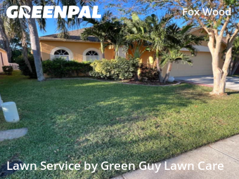 Lawn Mowing Service nearby Trinity, FL, 
