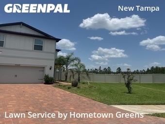 Lawn Maintenancein Tampa,33647,Grass Cutting by Hometown Greens , work completed in Jul , 2026