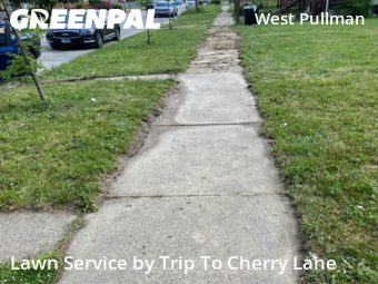 Yard Cutting nearby Chicago, IL, 