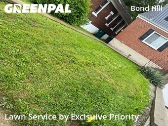 Lawn Cutting nearby Cincinnati, OH, 