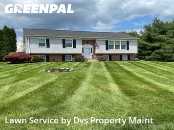 Grass Cutting nearby Bear, DE, 