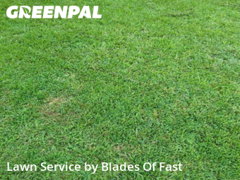 Lawn Cut nearby Riverdale, GA, 