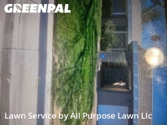 Grass Cut nearby Las Vegas, NV, 