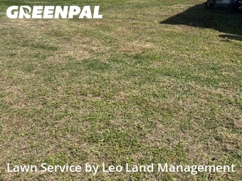 Lawn Cuttingin Lakeland,33810,Lawn Mowing by Leo Land Management , work completed in Jun , 2026