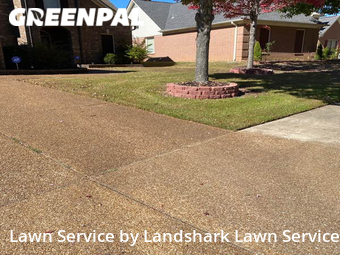 Lawn Cut nearby Collierville, MS, 