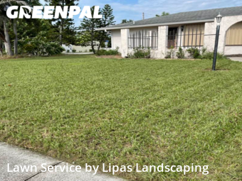 Lawn Mow nearby Fort Myers, FL, 