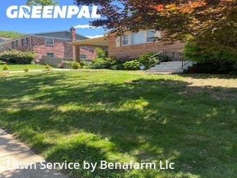 Yard Mowing nearby District Heights, MD, 