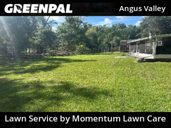 Grass Cut nearby Wesley Chapel, FL, 