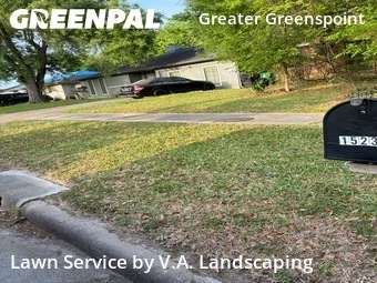 Grass Cut nearby Houston, TX, 
