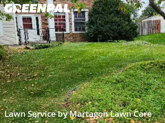 Grass Cut nearby Woodbury, MN, 