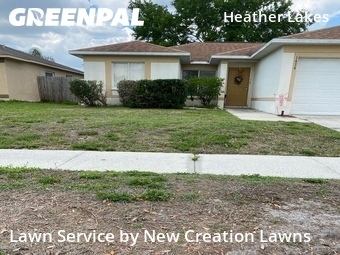 Grass Cut nearby Brandon, FL, 