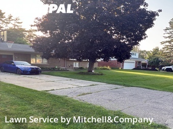 Grass Cutting nearby Shelby Township, MI, 