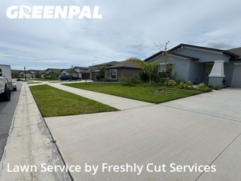 Grass Cut nearby Bartow, FL, 