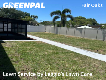 Lawn Mow nearby Tampa, FL, 