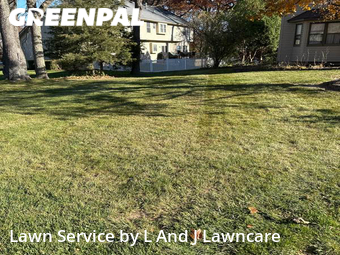 Grass Cut nearby East Moline, IA, 