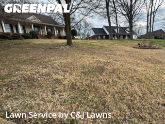 Lawn Cutting in Lebanon, 37087, Lawn Mowing by C&J Lawns, work completed in 29 Nov, 2025 