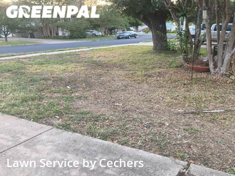 Lawn Mowing nearby Round Rock, TX, 