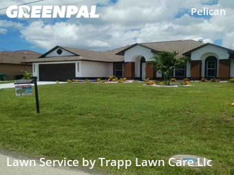 Grass Cut nearby Cape Coral, FL, 