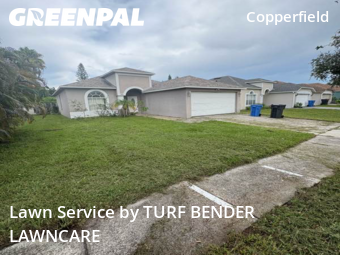 Lawn Cut nearby Tampa, FL, 