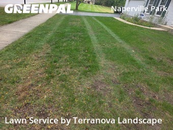 Lawn Servicein Naperville,60540,Lawn Maintenance by Terranova Landscape, work completed in Nov , 2025