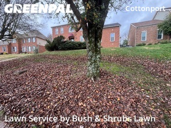 Yard Mowingin Brentwood,37027,Yard Cutting by Bush & Shrubs Lawn, work completed in Dec , 2025