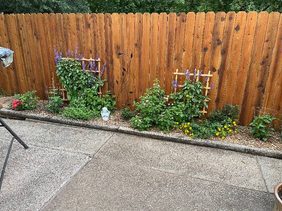 Burt's Lawn Care Lawn Care Services in Abilene, TX