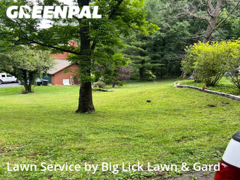 Grass Cutting nearby Salem, VA, 