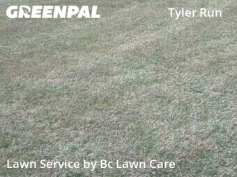 Lawn Cut nearby Wake Forest, NC, 