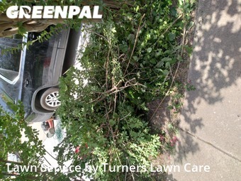 Lawn Care nearby Rockwall, TX, 