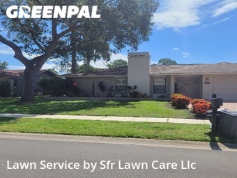 Yard Management in East Lake, 34685, Yard Management by Sfr Lawn Care Llc, work completed in Nov , 2025