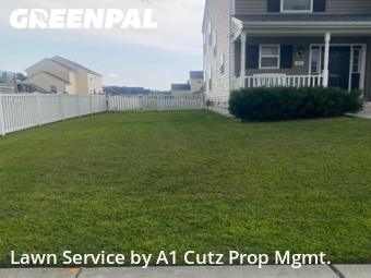 Lawn Mow nearby Smyrna, DE, 
