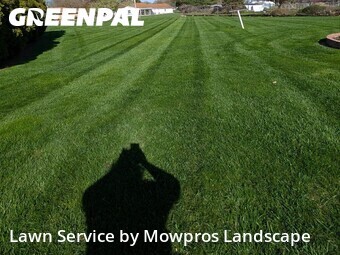 Lawn Cut nearby Lansing, MI, 