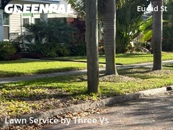Yard Cutting nearby St. Petersburg, FL, 