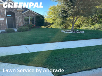 Yard Cutting nearby Fort Worth, TX, 