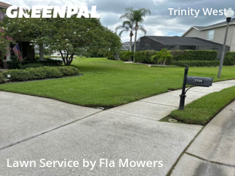 Lawn Care nearby Trinity, FL, 