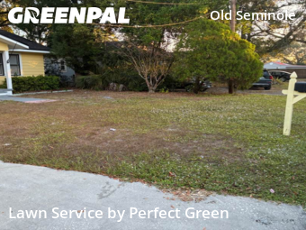 Landscaping Services In Tampa,33604,Landscaping Maintenance by Perfect Green, work completed in Nov , 2025