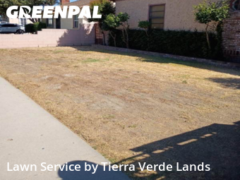 Work completed by residential-lawn-cutting-businesses-in-Lynwood-CA