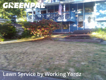 Weed Trimming in Federal Way, 98003, Grass Services by Working Yardz, work completed in Aug , 2025