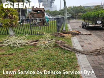 Lawn mowed in Fort Lauderdale, 33312