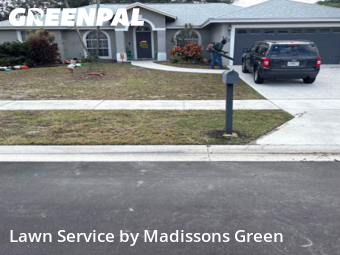 Yard Upkeep in Royal Palm Beach, 33411, Landscaping Maintenance by Madissons Green, work completed in Dec , 2025