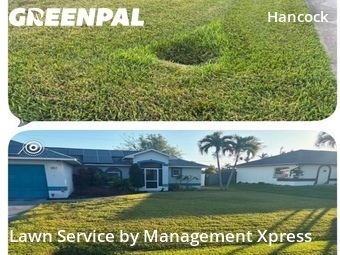 Lawn Cutting nearby Cape Coral, FL, 