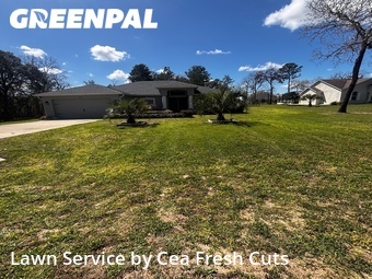 Lawn Cut nearby Ocala, FL, 