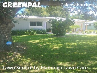 Lawn Cut nearby Cape Coral, FL, 