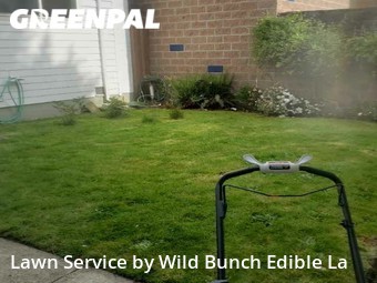 Grass Cut nearby Seattle, WA, 